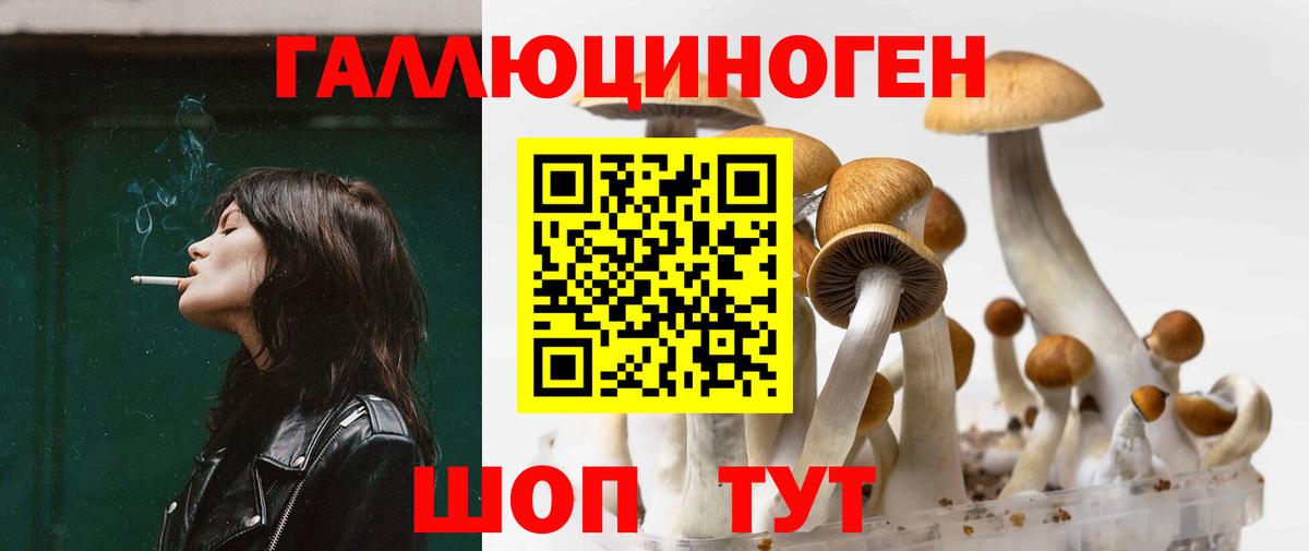 Псилоцибиновые грибы мицелий Щёлково